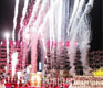 11th China International Beer Festival Begins in Dalian July 30th