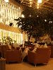 Daily Cafe