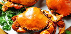 Brief Intro to Sanya Dining