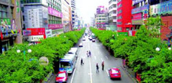 Brief Intro to Urumqi Shopping