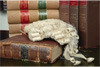 Harbin Legal Services