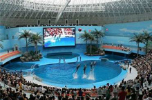 Chengdu Polar Ocean World Finally Unveiled to Public