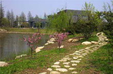 Music and BBQ Festival Kick Off Sep 21at Shanghai Binjiang Forest Park 