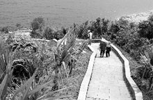19.5 Km Shenzhen Seaside Pier Completed