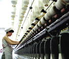 Chinese economy to stabilize in Q4