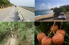 The Great Shenzhen Outdoors: 4 Summer Activities
