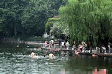 Shanghai Residents Enjoy Unauthorized Dips in Park Pond