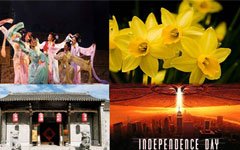 Go Out & About! Your Guide to Spring Festival Fun in Hefei