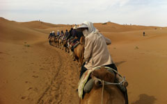 Shapotou – A Thrilling Desert Getaway from Yinchuan