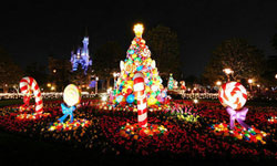 Shenzhen Happy Valley Hosts Christmas and New Year's Eve Events