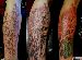 Ghost Space Tattoo Studio