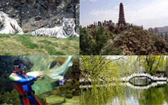 Fantastic Parks for Escaping the Concrete Jungle of Urumqi 