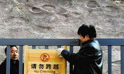 Dinosaur Footprints Found in Beijing