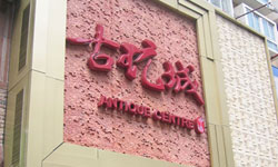 Shanghai Antique City Now Open