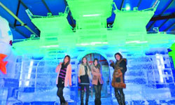 Harbin Ice Lantern Science and Art Exhibition Opens in Guangzhou