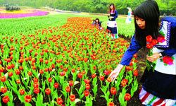 18th Garden Expo Being Held at Yuntai Garden in Guangzhou