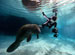 Shenzhen Shenlan Scuba Diving Club