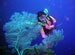 Shenzhen Scuba World Centre