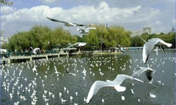  Zhuhai-Kunming Flight Route Now Open