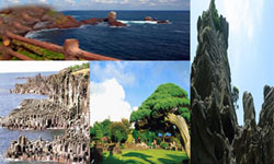 Guangzhou-Cheju Direct Charter Flight Now Operating