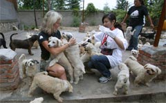 Volunteering in Nanjing: The How, Where and Why