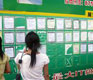 Workplace Face Off: Chinese vs. Foreign Employees