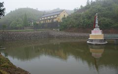 Where the Mind Rests: Guang Jue Temple Buddhist Retreat