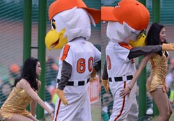 Korean Baseball Babes (Part 2)