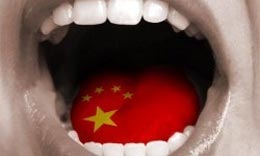 (Mind-Blowing) Words of Wisdom - Life Advice from a China Expat Sage