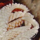Tianjin Restaurant