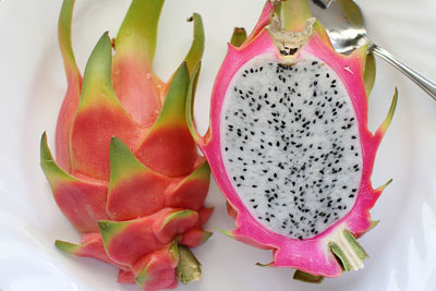 Dragon Fruit Dragon Fruit