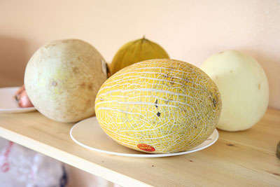 Hami Melon Hami Melon