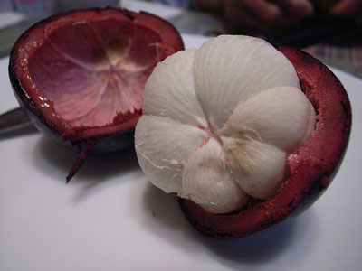 Mangosteen Mangosteen