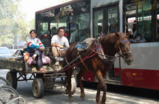 Co-existence: Old and Modern Transportation in ...