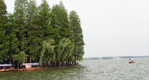 48 Hours in Wuhan