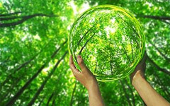 How to Live "Green" and Protect the Environment in Beijing