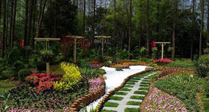 Go Green: Shanghai Botanical Gardens