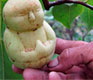 Wooden Copters and Robot Cooks: China’s Strangest New Inventions