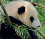 Seven Reasons to Stay in China