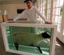 After the Fall: <br>What Contemporary Chinese Art Must Do to Survive the Crash