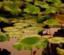 Best Of China in Ten Days: Day 1