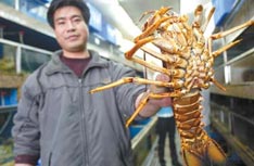 Great Guangzhou Grub