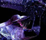 Harbin's Ice Festival - Chilling Amazement