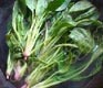 Rollin' on Dubs: Spinach Sesame Rolls