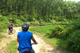 Guangdong by Bike, Part 1: Short Trips