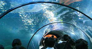 New Suzhou Taihu Underwater World Opens