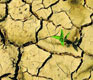 Netizens Pick Top 10 Challenges Facing China in the Next Decade