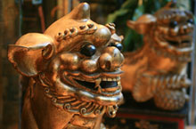 A Guide to the Best Markets in Chengdu 