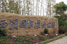Swamp Thing: Xixi National Wetland Park