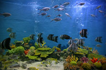 Hefei’s Best Parks: Where History and Nature Collide